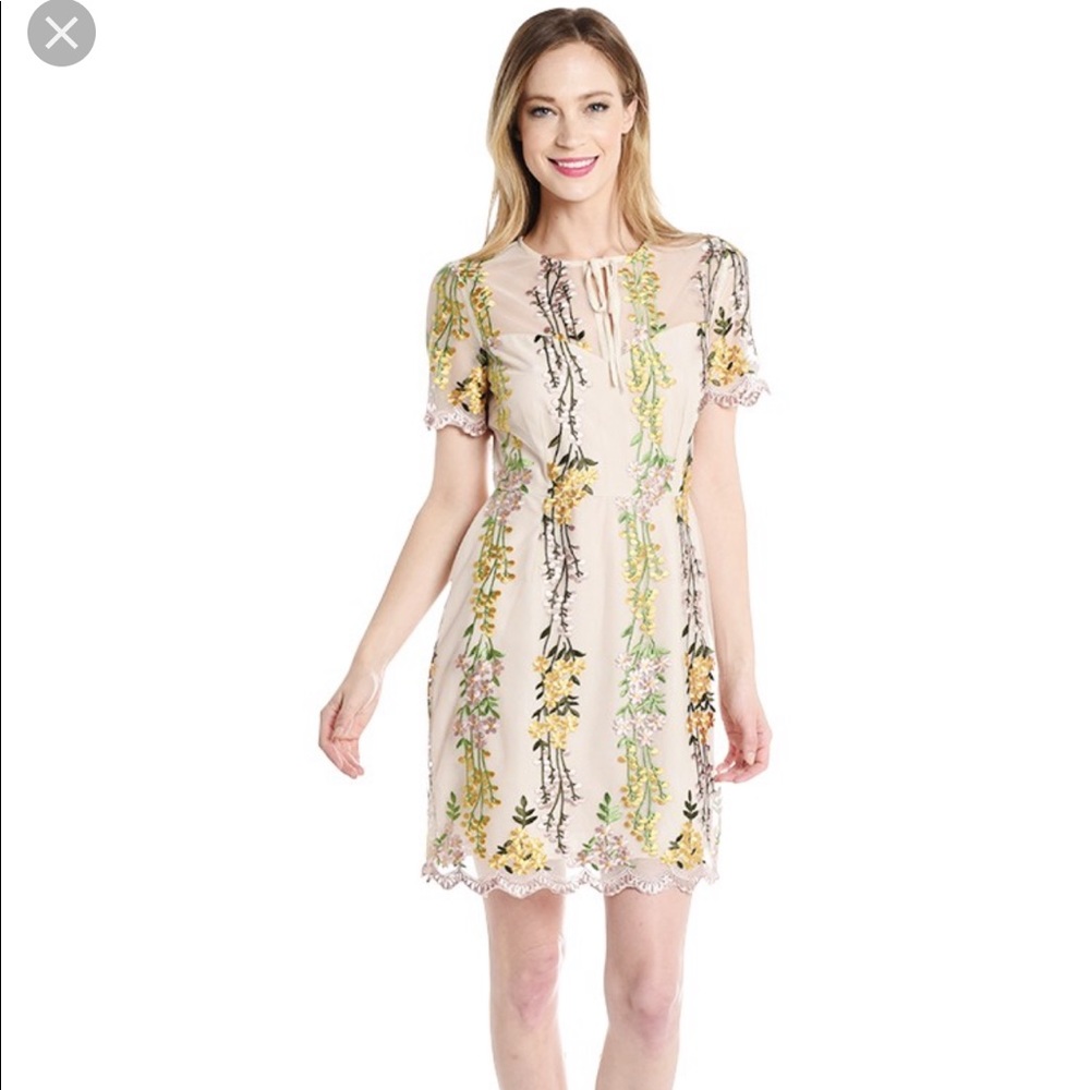 Cupcakes and cashmere “gram” dress